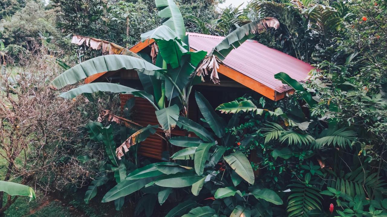 Arenal Rustic Lodge La Fortuna Buitenkant foto